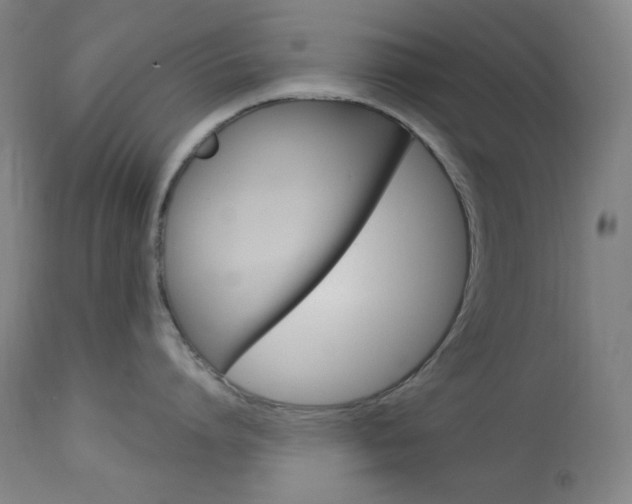 X0000114080864200910050958