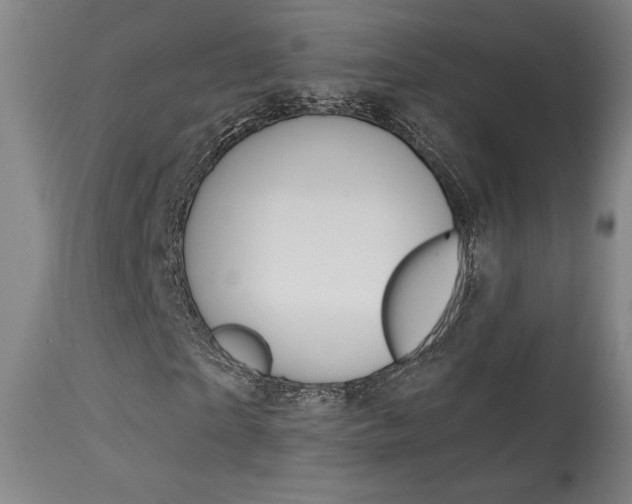 X0000114080865200910050957