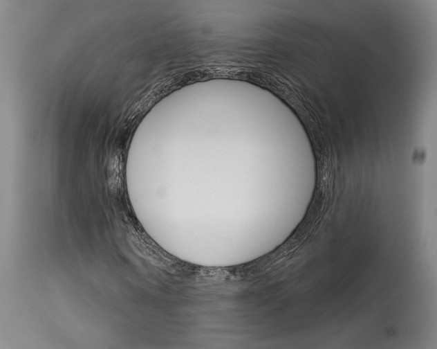 X0000114080866200910050957