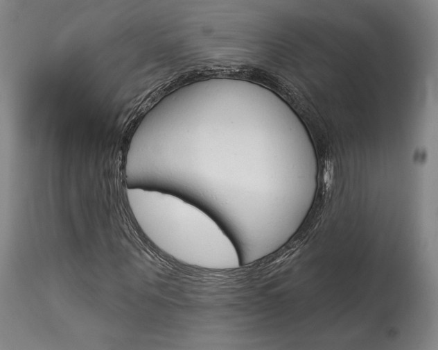 X0000114080867200910050957