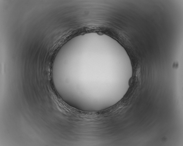 X0000114080868200910050957