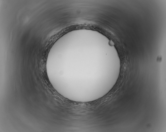 X0000114080869200910050957