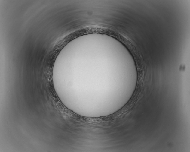 X0000114080870200910050957