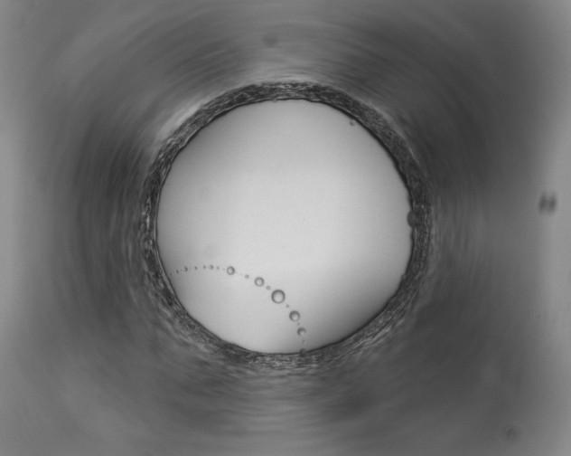 X0000114080871200910050957
