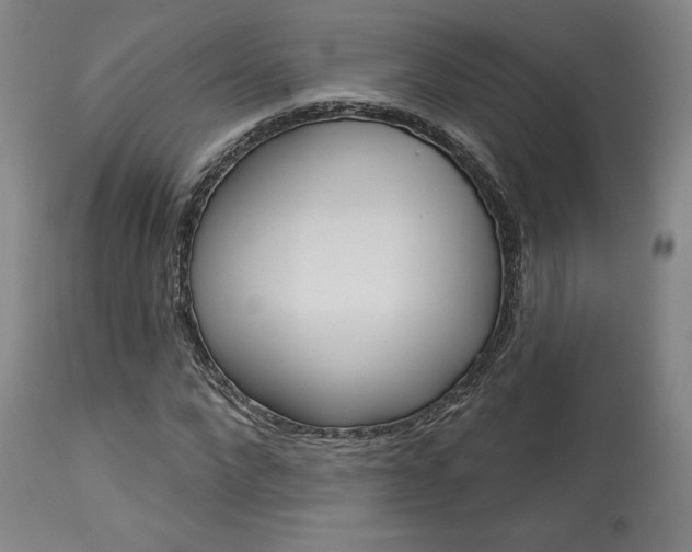 X0000114080872200910050957