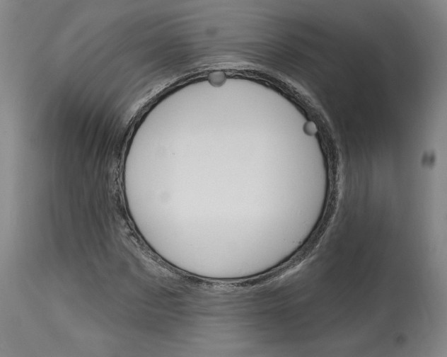 X0000114080873200910050957