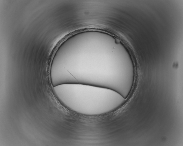 X0000114080875200910050957