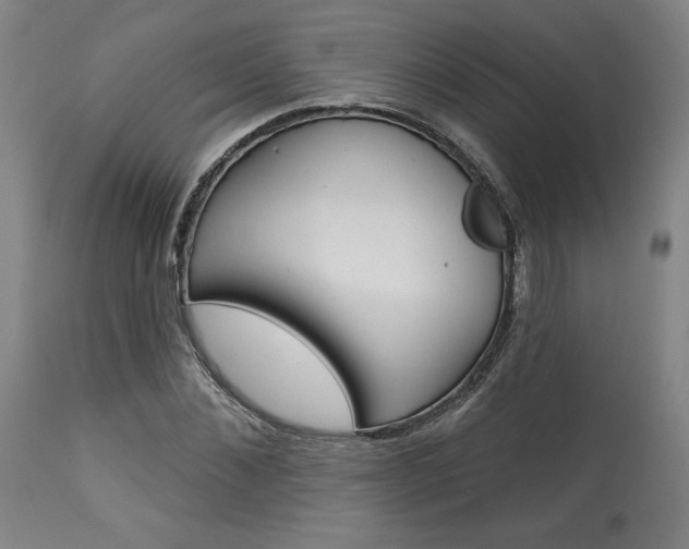 X0000114080876200910050957