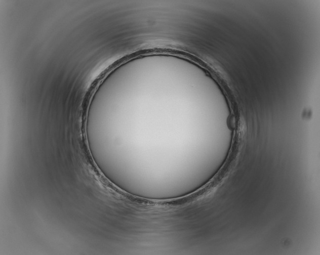 X0000114080877200910050957