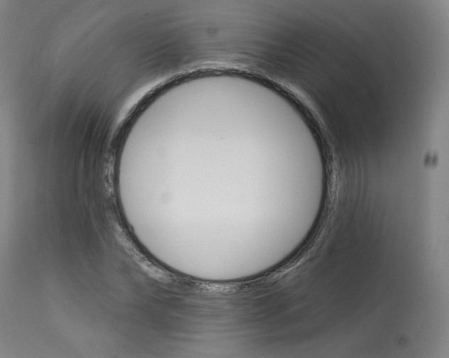 X0000114080878200910050957