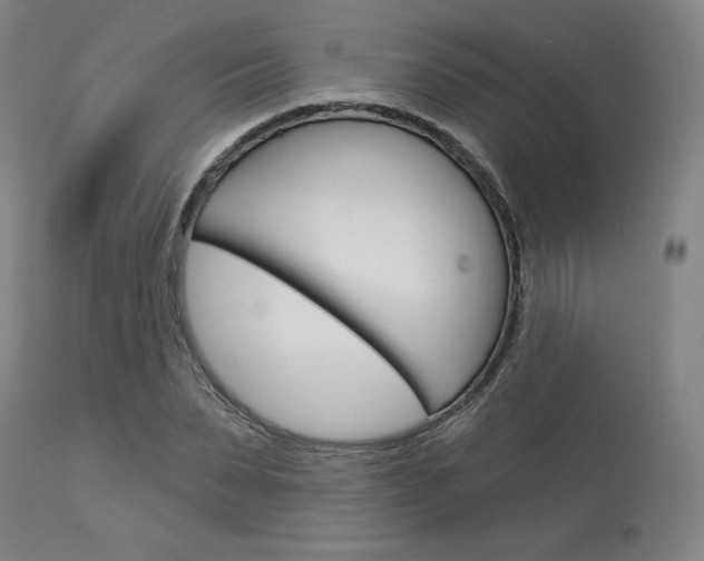 X0000114080879200910050957