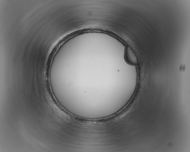 X0000114080880200910050957