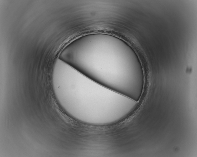 X0000114080881200910050957