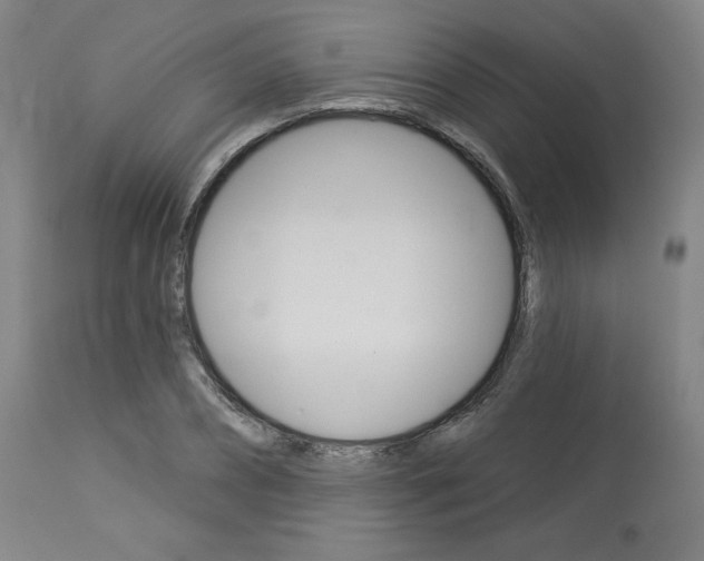 X0000114080882200910050957