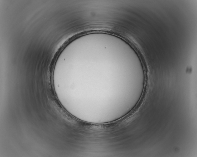X0000114080883200910050957