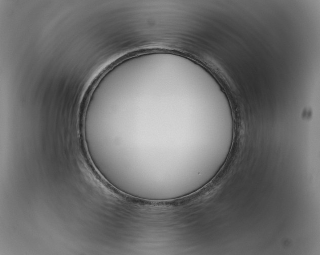 X0000114080884200910050957