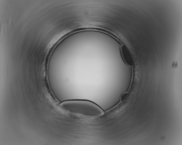 X0000114080885200910050957