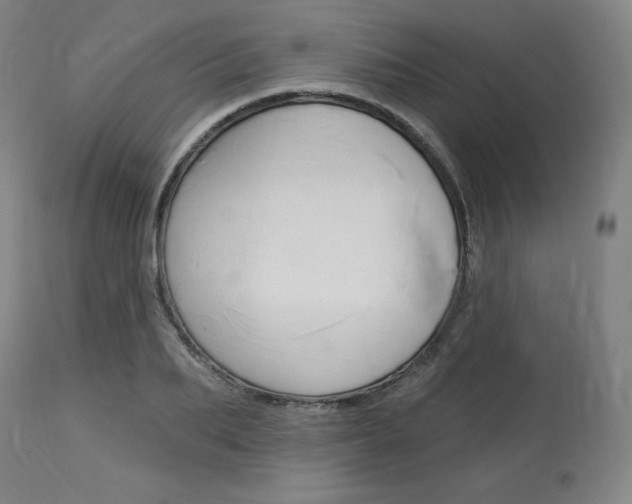 X0000114080887200910050957
