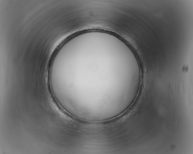 X0000114080888200910050957