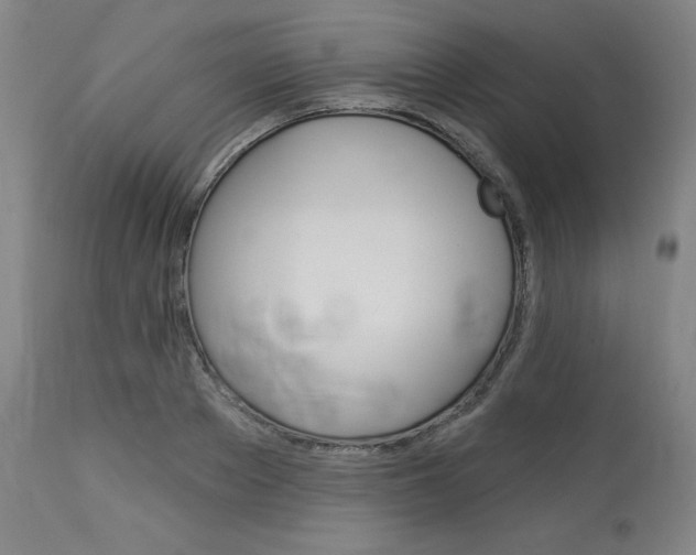 X0000114080889200910050957