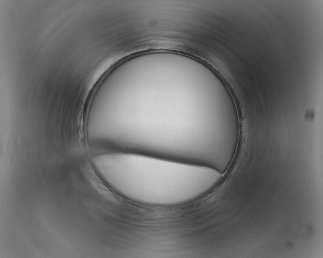 X0000114080891200910050957