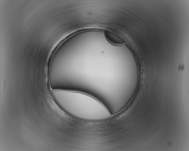 X0000114080892200910050957