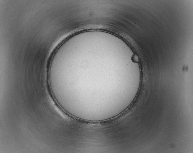 X0000114080894200910050957