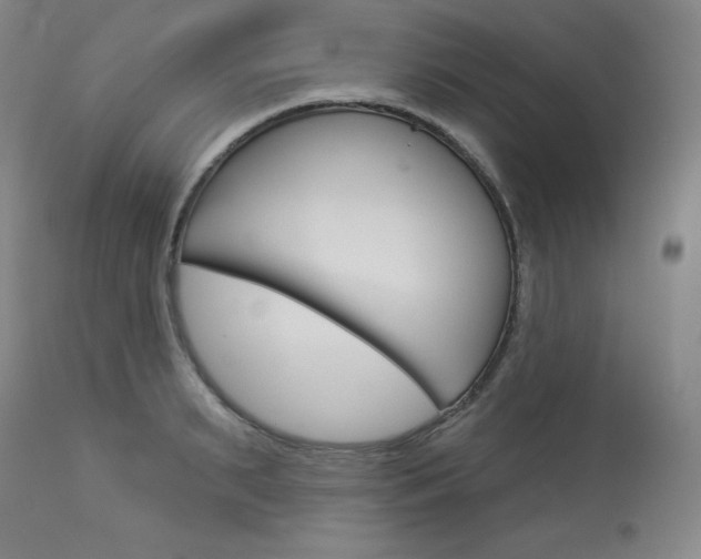 X0000114080895200910050957