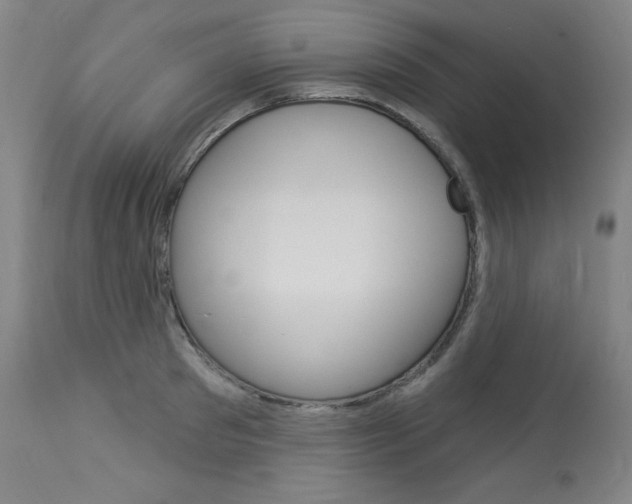 X0000114080897200910050957
