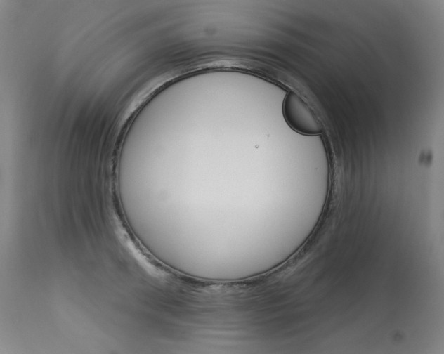 X0000114080898200910050957