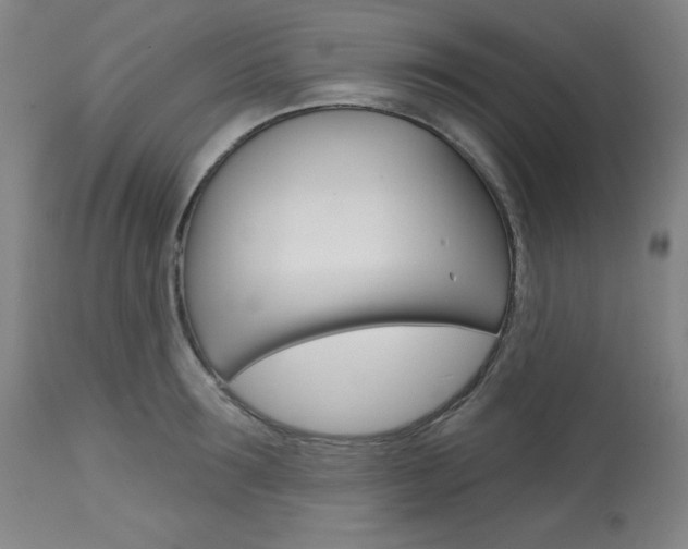 X0000114080899200910050957