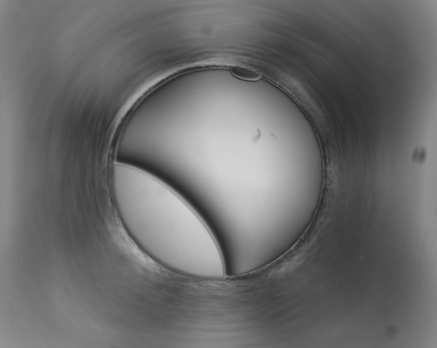 X0000114080900200910050957