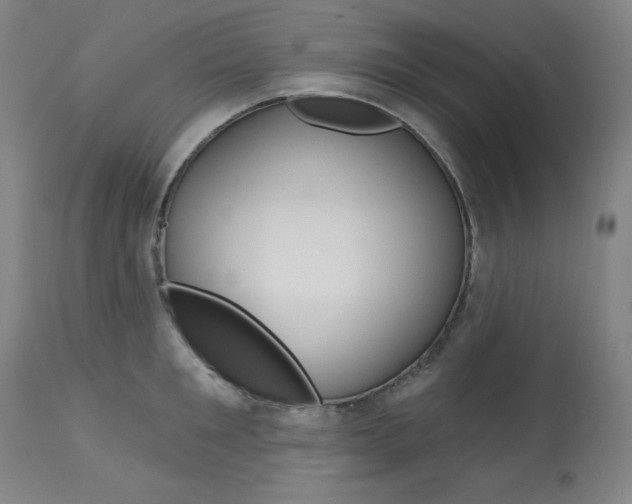 X0000114080901200910050957