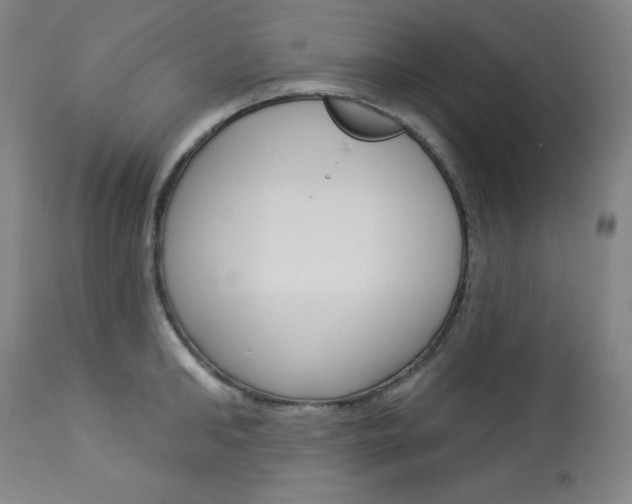 X0000114080902200910050957