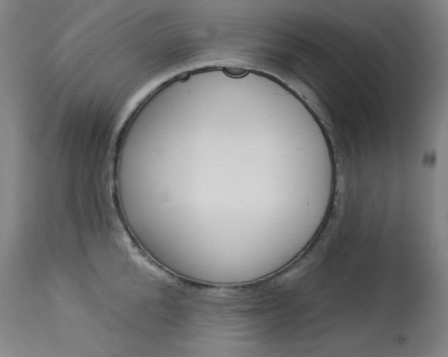X0000114080904200910050957
