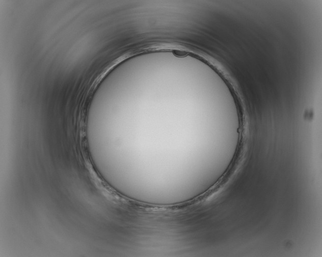 X0000114080905200910050957