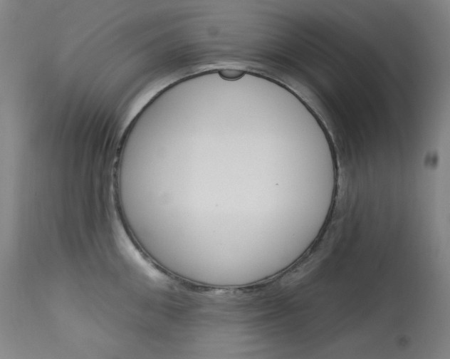 X0000114080906200910050957