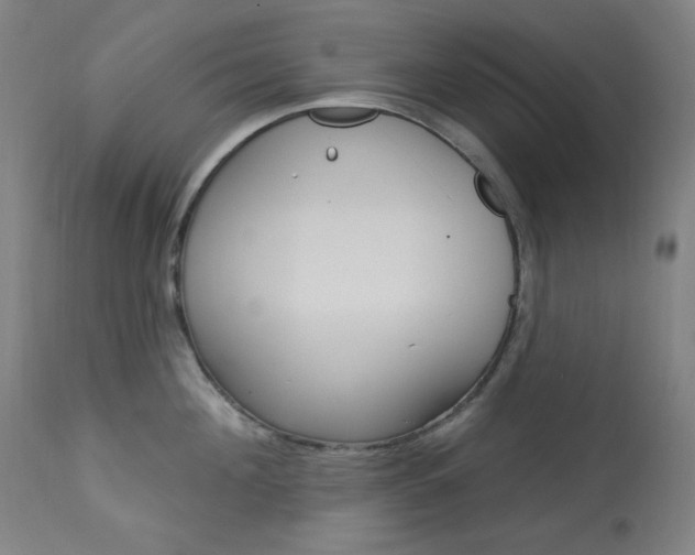 X0000114080908200910050957