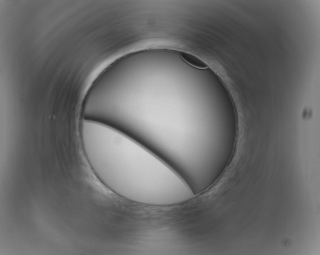 X0000114080912200910050957