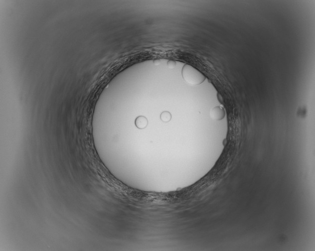 X0000114080913200910050956