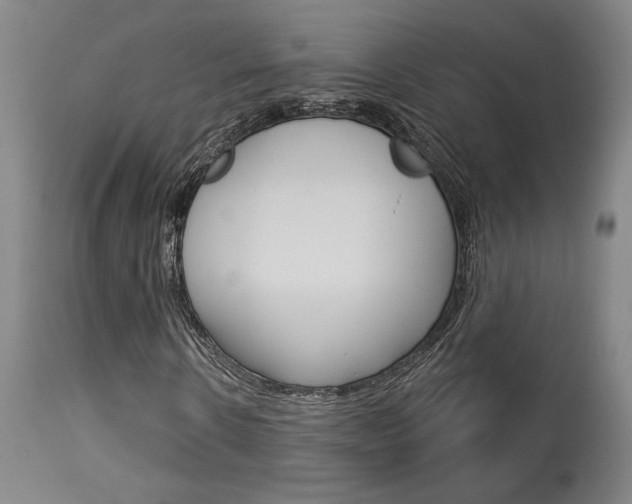 X0000114080914200910050956