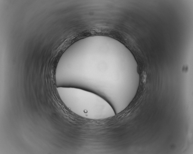 X0000114080915200910050956