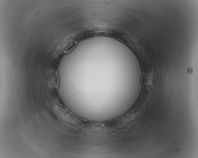 X0000114080916200910050956
