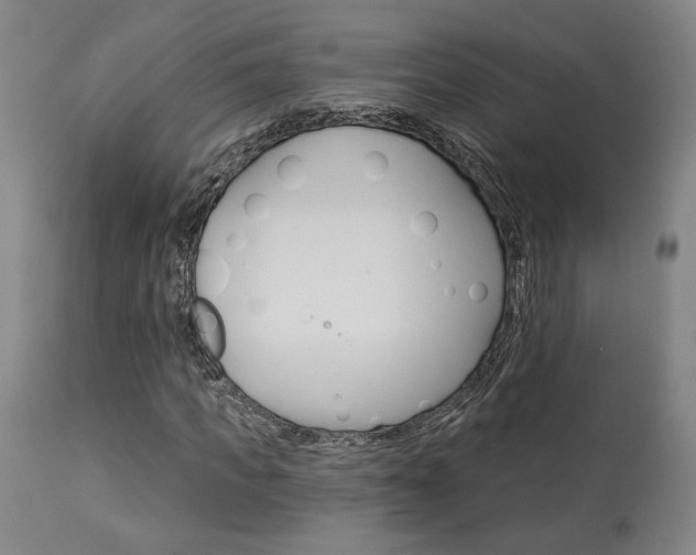 X0000114080917200910050956