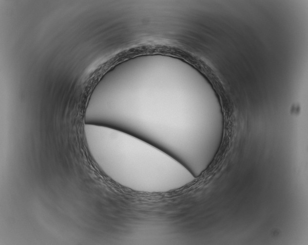 X0000114080919200910050956