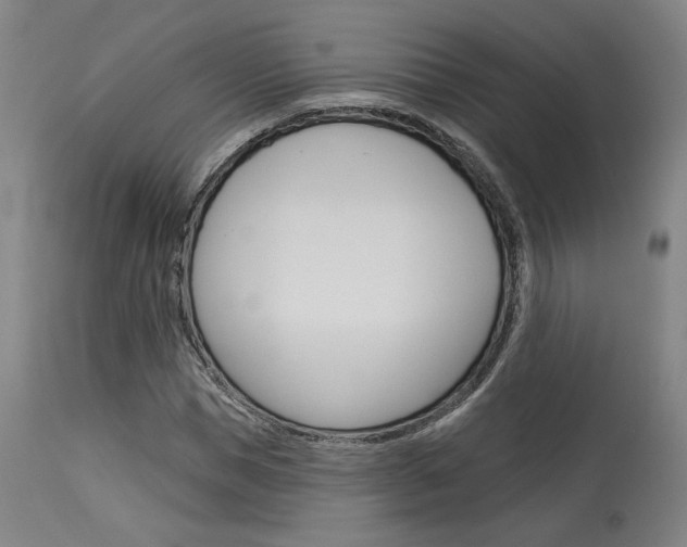 X0000114080921200910050956