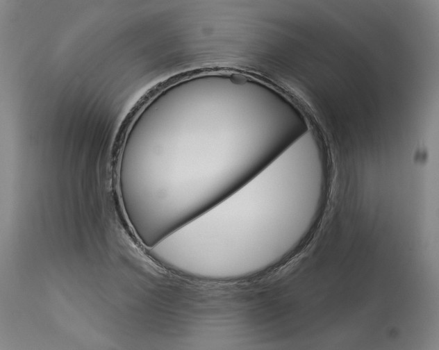X0000114080924200910050956