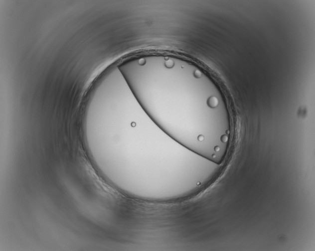 X0000114080925200910050956