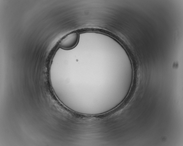 X0000114080926200910050956