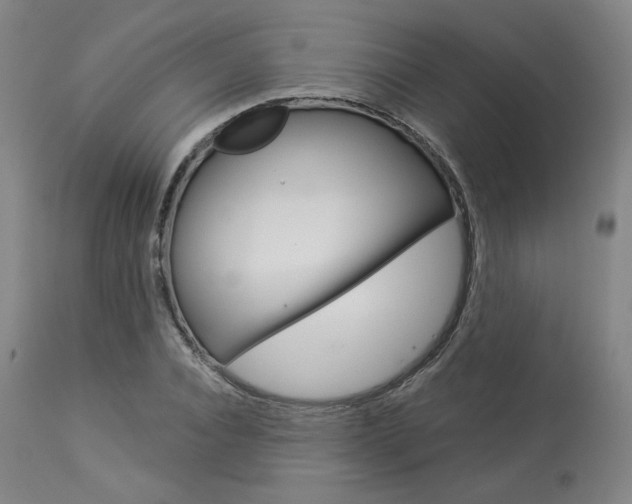 X0000114080928200910050956